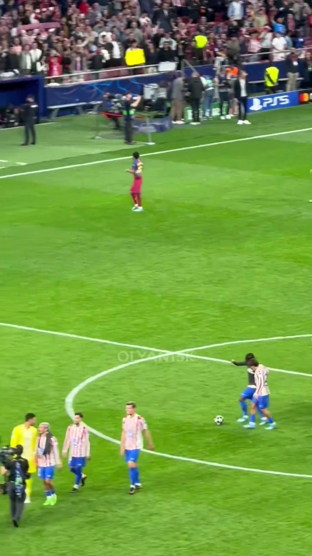 现场球迷赛后除了一个